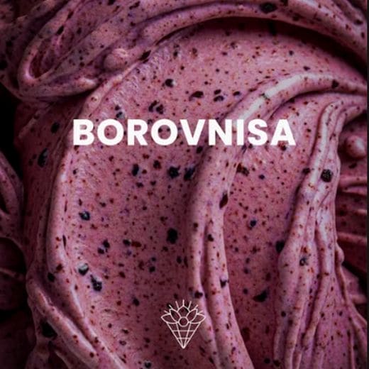 Borovnisa